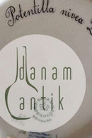 Royal Copenhagen Flora Danica dybtallerken No 3546