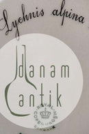 Royal Copenhagen Flora Danica Deep Plate No 3546