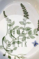 Royal Copenhagen Flora Danica Ovaler Teller Nr. 20/3540