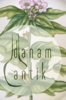 Royal Copenhagen Flora Danica Große durchbrochene Schale Nr. 384 oder 3529