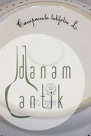 Royal Copenhagen Flora Danica Teller mit durchbrochenem Rand Nr. 20/3526