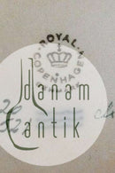 Royal Copenhagen Flora Danica Großes ovales Serviergeschirr Nr. 3520