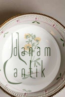 Royal Copenhagen Flora Danica Tiefer Teller Nr. 735/3545