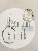 Royal Copenhagen grün geschweißt große ovale Schale Nr. 1558