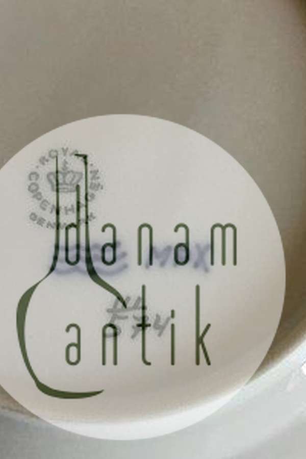 Royal Copenhagen Prinsesse Kagetallerken No 574