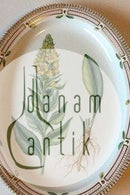 Royal Copenhagen Flora Danica Stort ovalt serveringsfad no. 3520 / 374