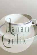 Royal Copenhagen Sirius Tea Cup and Saucer No 084