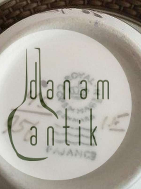 Royal Copenhagen Brown Tranquebar Coffee Cup and Saucer No 956