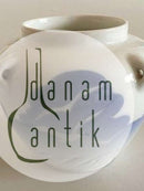 Royal Copenhagen Art Nouveau FDB 1900 Vase med hanke