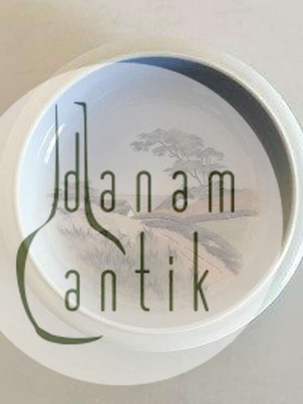 ロイヤルコペンハーゲン ボウル No 2903/2559