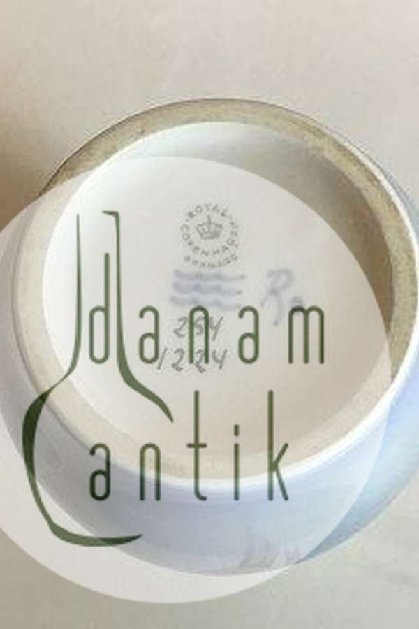 Royal Copenhagen Art Nouveau Vase No. 254/1224