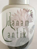 Royal Copenhagen Lidded Vase / Urn No 2686/888 with Cactus Motif