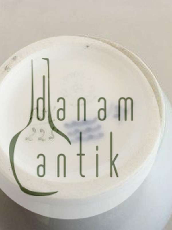 Royal Copenhagen Art Nouveau Vase No. 951/225 med Mælkebøtte dekoration