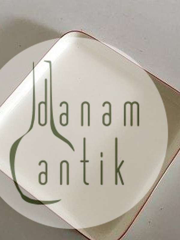 Royal Copenhagen Rødtop / Rødkant Firkantet Fad No. 3048