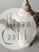 Royal Copenhagen Rosa Konkylie Kaffekande No 14181