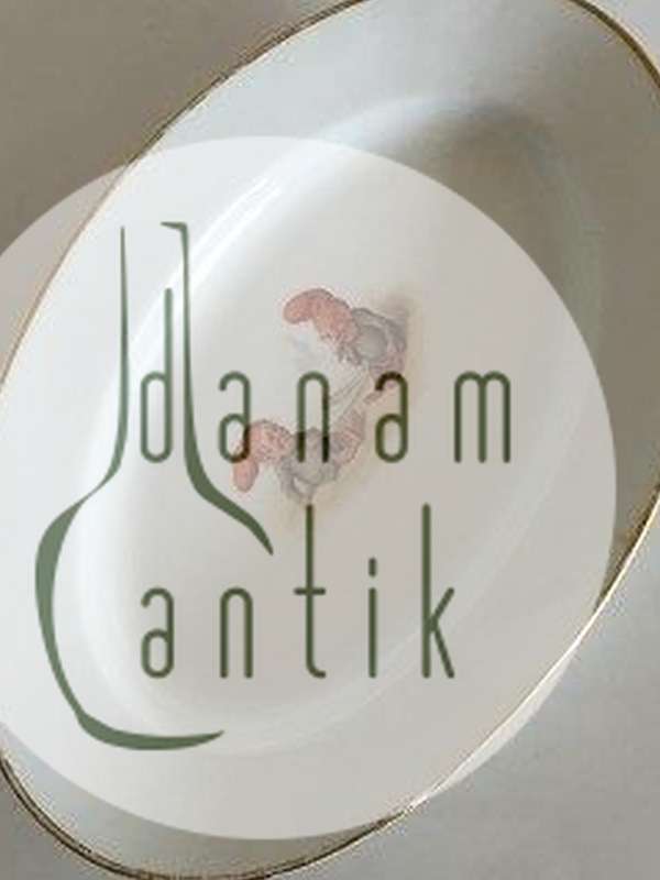 Royal Copenhagen Kongeligt Nisse Stel (Sælges som Sæt på 25 dele)