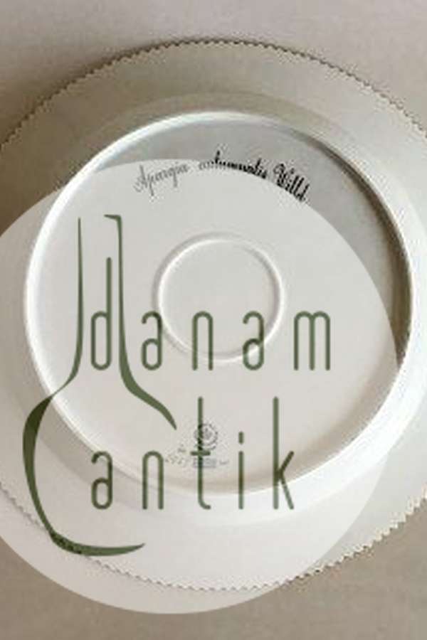 Royal Copenhagen Flora Danica Rundt fad No 20/3524