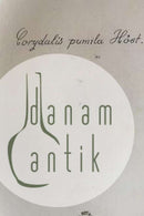 Royal Copenhagen Flora Danica Ovalt Serveringsfad No 735/3517