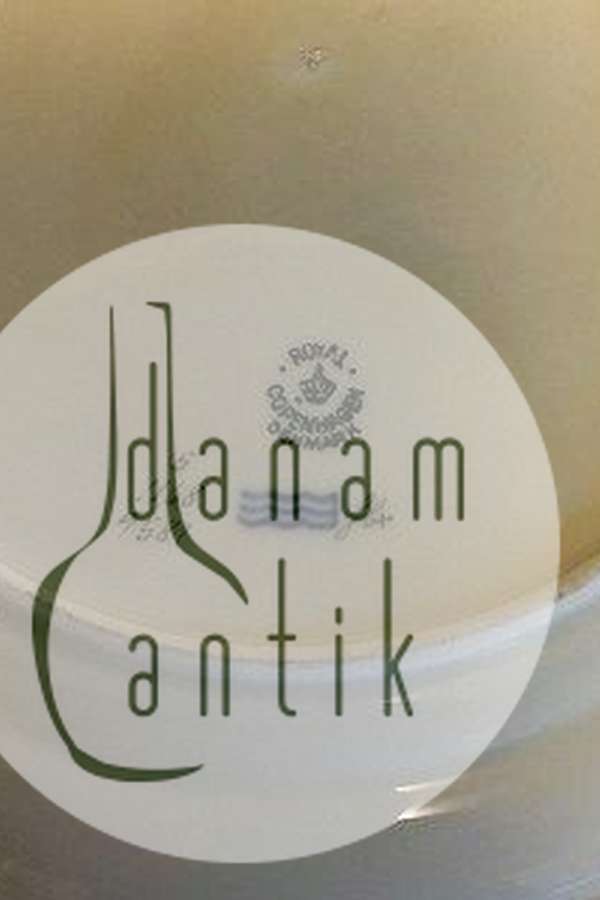 皇家哥本哈根鱼组1168号餐盘5/1168/9581号