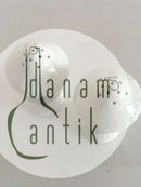 皇家哥本哈根绿花盐和胡椒粉套装No 1706