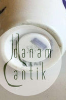 Royal Copenhagen Blaue Blume Geflochtene Pfefferbüchse Nr. 8221