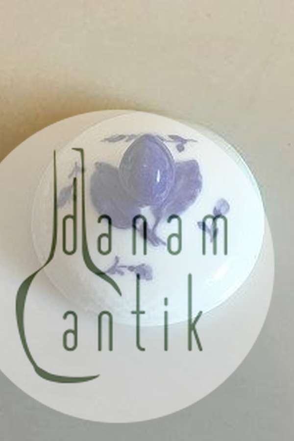 Royal Copenhagen Blå Blomst Flettet Låg No 8082