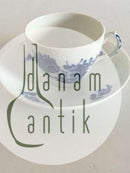 Royal Copenhagen Blå Blomst Flettet Kaffekop med Underskål No 8040