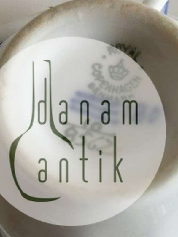 皇家哥本哈根蓝花浓缩咖啡杯和碟子No 8562