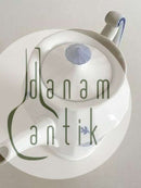 Royal Copenhagen Blå Blomst Angular Coffee Pot No 8502