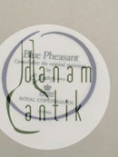 ロイヤルコペンハーゲン ブルーキジント・ディナープレート No 624