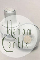 Bing & Grondahl Delfi ソルト＆ペッパーセット No 531+541