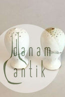 Bing & Grondahl Heimdal Salt and Pepper Shakers