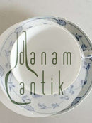 Bing & Grondahl Butterfly Large Cup and Saucer No 104