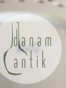 Bing & Grøndahl Måge Gennembrudt Tallerken