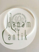 Bing & Grondahl Troja Mittagsteller Nr. 326