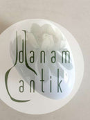 Bing & Grøndahl Art Nouveau Æg med Blomster.