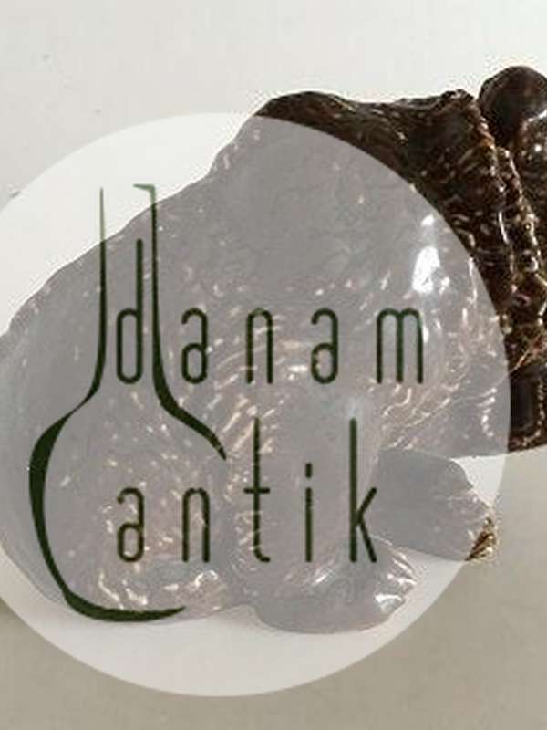 Bing Grondahl Trine Dreyer炻器熊的形象，编号7188