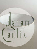 Bing & Grøndahl Måge med Guld Skål No 312