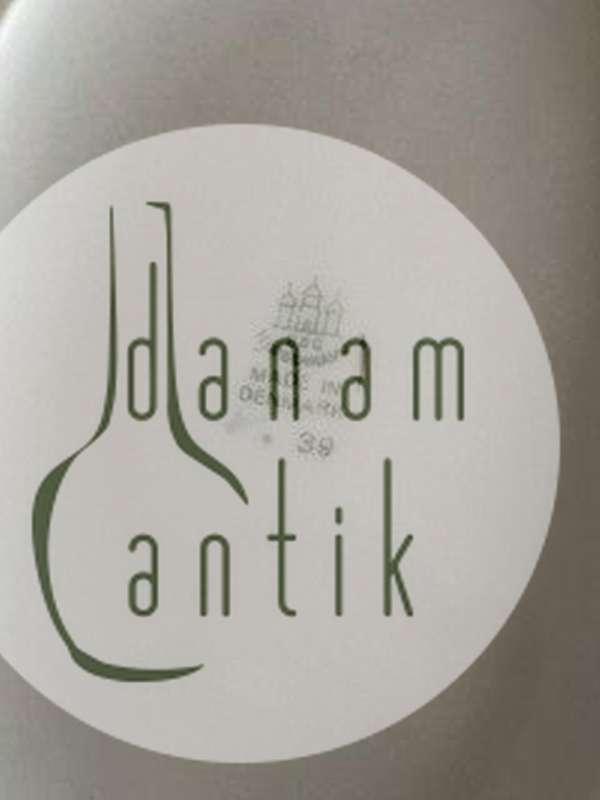 Bing & Grøndahl Måge med Guld Oval Skål No 39