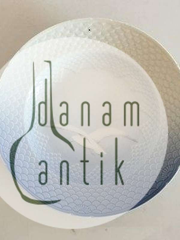 Bing og Grøndahl Måge Dyb Tallerken No 23