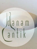 Bing og Grøndahl Måge Stor Dyb Tallerken No. 22