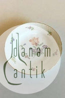 Bing Grondahl Saxon花，手绘蛋糕盘