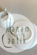 Bing & Grondahl Milky Way Coffee Cup and Saucer No 305/102