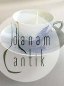 Bing Grondahl圣诞玫瑰咖啡杯和碟子 No 102