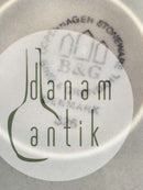 Bing & Grondahl Mexico Steingut Mittagsteller Nr. 326