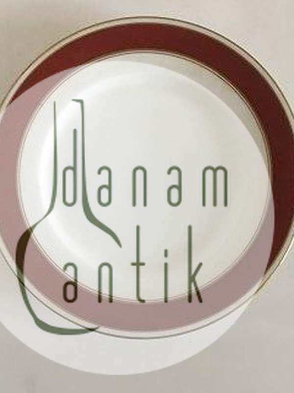 Bing Grondahl Egmont Side Plate No 28A。白色带酒红色边缘和金线