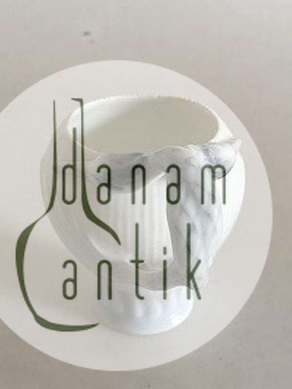 Bing & Grøndahl Hejre Stel Kaffe Kop uden guld