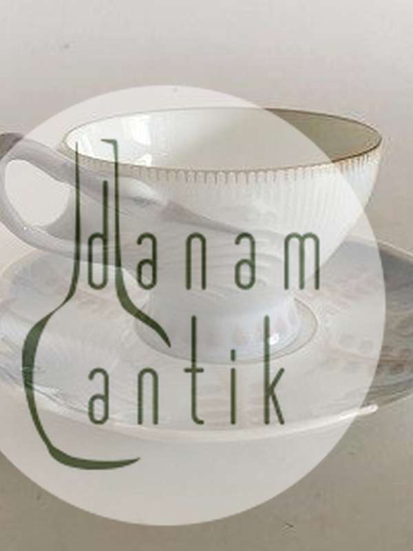 Bing & Grøndahl Hejre Stel The kop med underkop