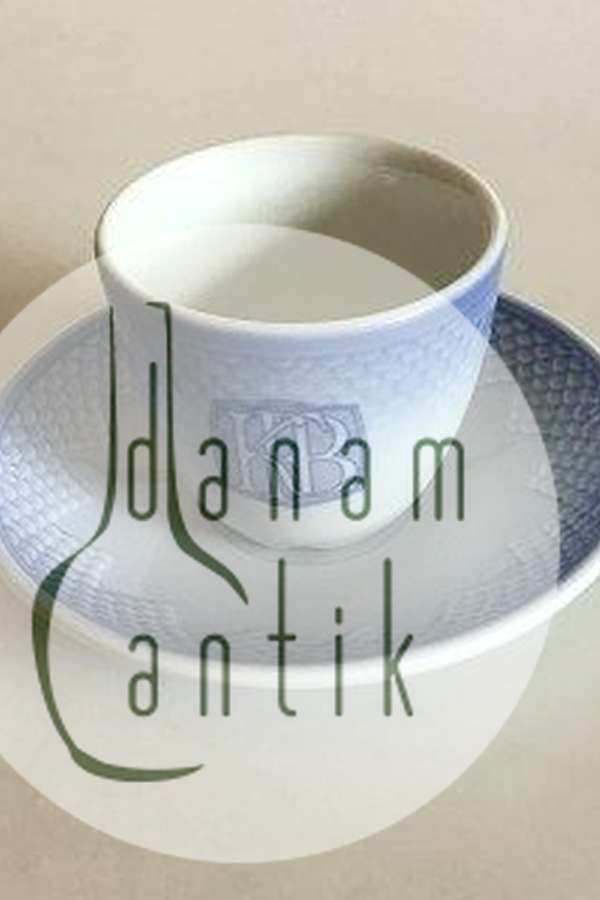 Bing & Grondahl Blue Tone - Seashell Hotel with logo Coffee Cup and Saucer No 1022