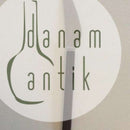 Georg Jensen Stainless Tuja Middagskniv med Palinsander håndtag